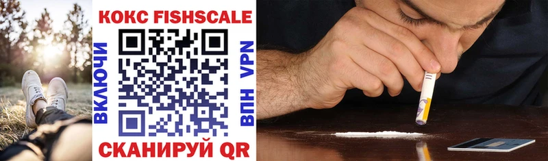 COCAIN Fish Scale  Купить закладки  Донецк 