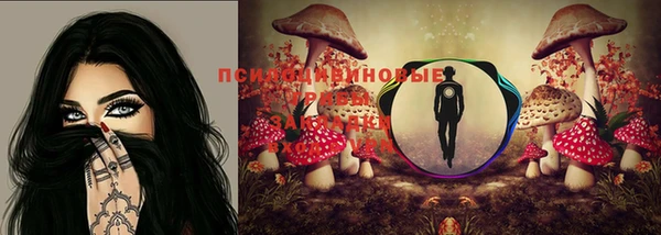 прущая мука Карталы